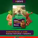 Comida para perro Dog Chow Triple proteina todos los tamaños 22,7 kg