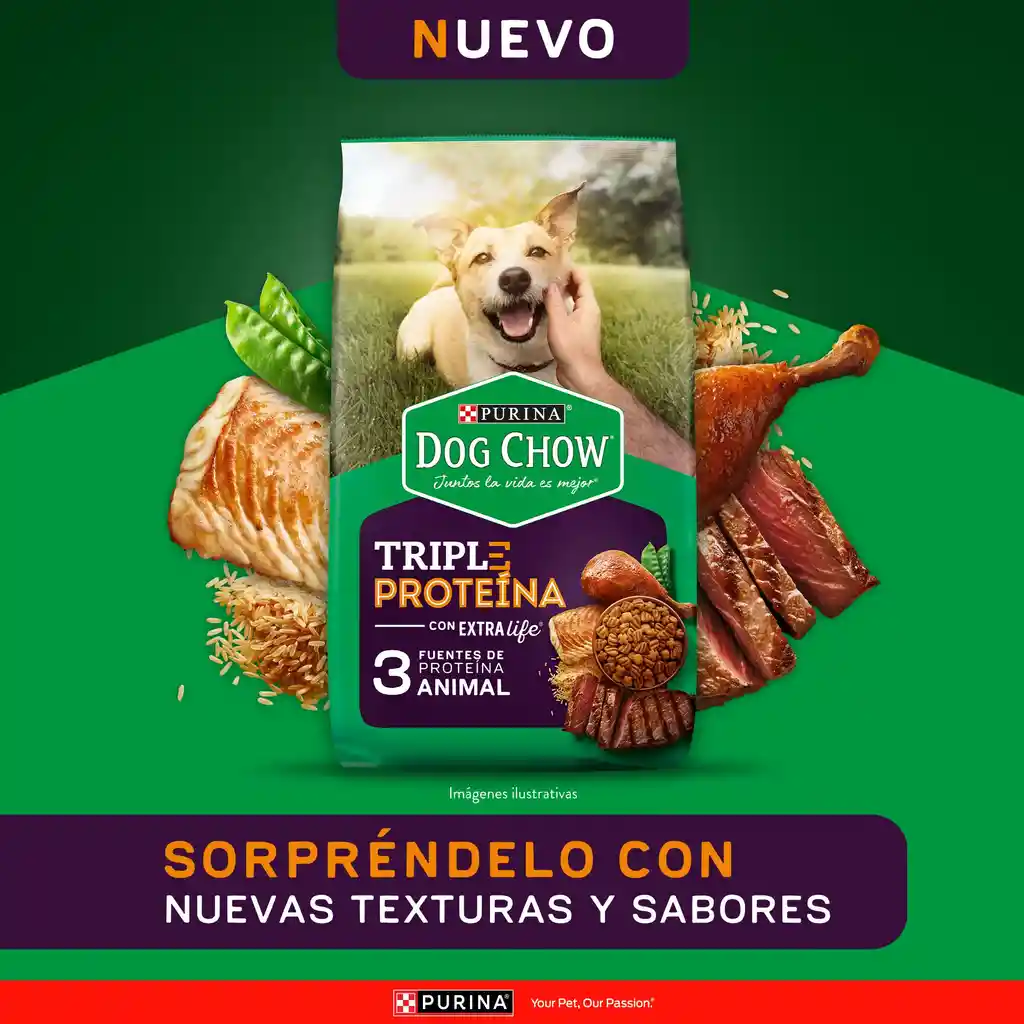 Comida para perro Dog Chow Triple proteina todos los tamaños 22,7 kg