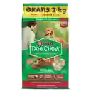 Comida para perro Dog Chow Adulto medianos y grandes x 17 kg OFERTA