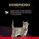 Comida para gato Purina Pro Plan Veterinary Diets UR Cuidado Urinario 1,5 kg