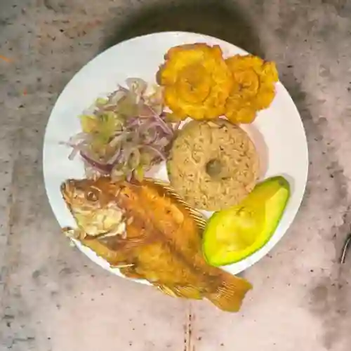 Tilapia Frita