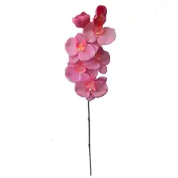 Orquidea Tl Fucsia Krea