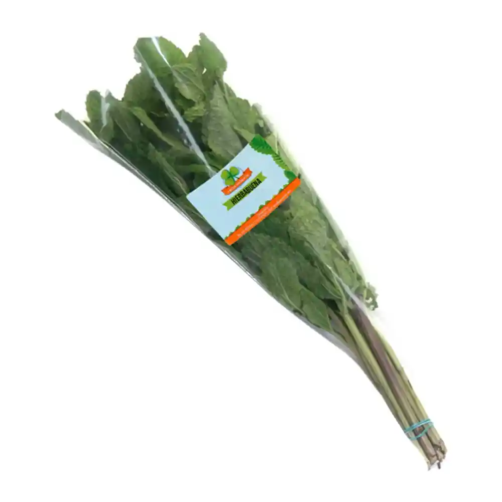 Hierbabuena Fresh Aromatic