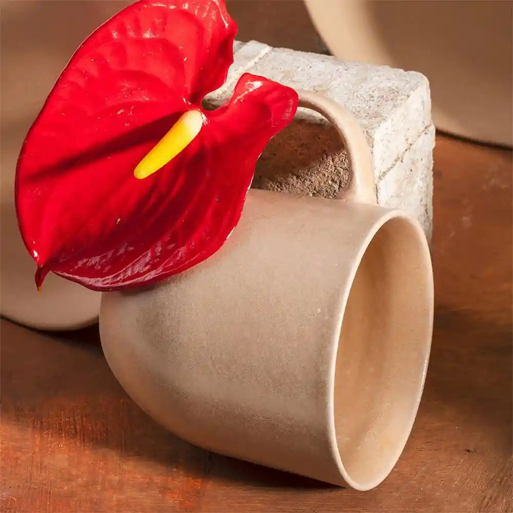 Mug Areia Corona Pl1823126412