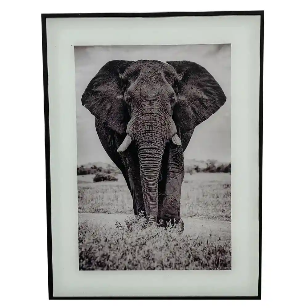 Cuadro Elefante Concepts 449276780