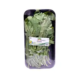 Hortifresco Rugula Lechuga 