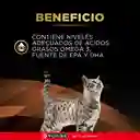 Comida para gato Purina Pro Plan Veterinary Diets NF Enfermedad Renal Etapa Avanzada 1,5 kg