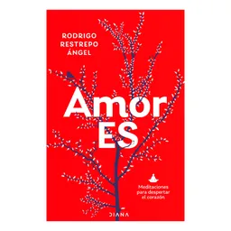 Amor Es