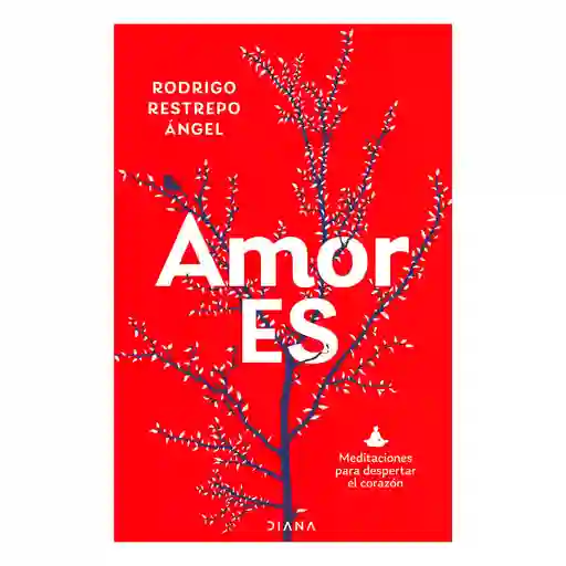Amor Es