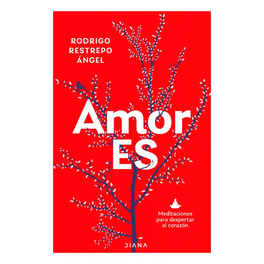 Amor Es