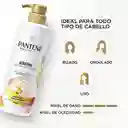 Pantene Shampoo Keratina Sin Sal