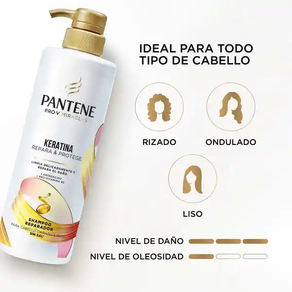 Pantene Shampoo Keratina Sin Sal