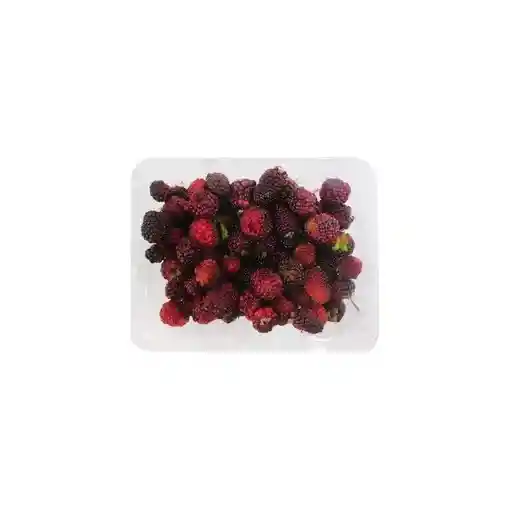 Mora Fruttivos