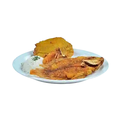 Tillapia Frita