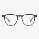 Nooz Gafas de Lectura Dino Navy + 2.50