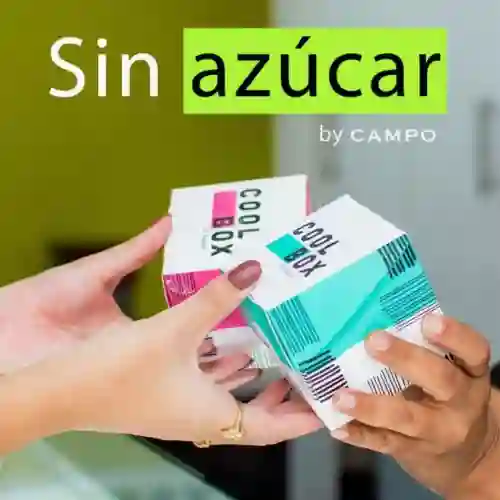 Helado Artesanal Sin Azúcar 1/2 Lt