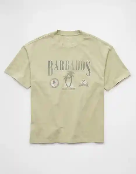 Camiseta Hombre Verde Talla: SMALL 4247357 American Eagle