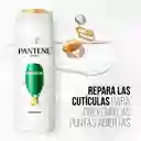 Venus Máquina de Afeitar + Shampoo