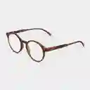 Barner Gafas Reading Marais Carey + 2.00