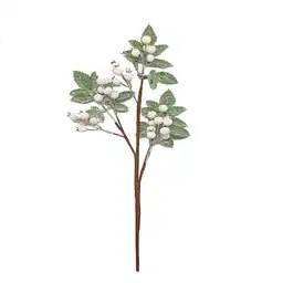 Pick Frutos Del Bosque Color Blanco Bosque Krea