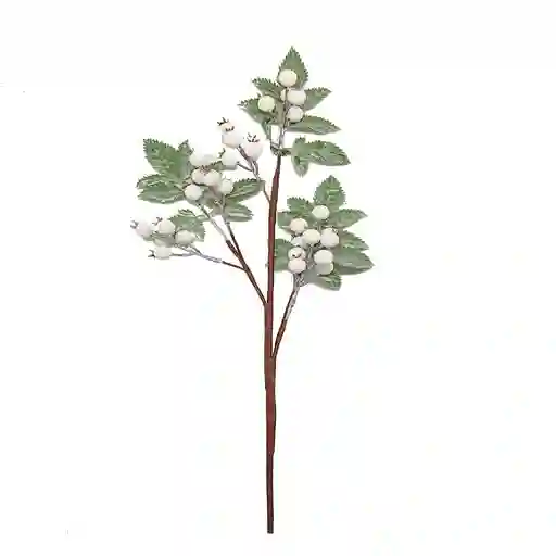 Pick Frutos Del Bosque Color Blanco Bosque Krea