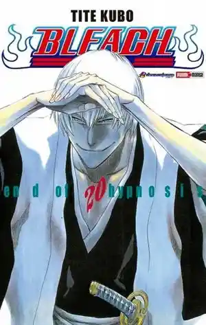 Bleach #20