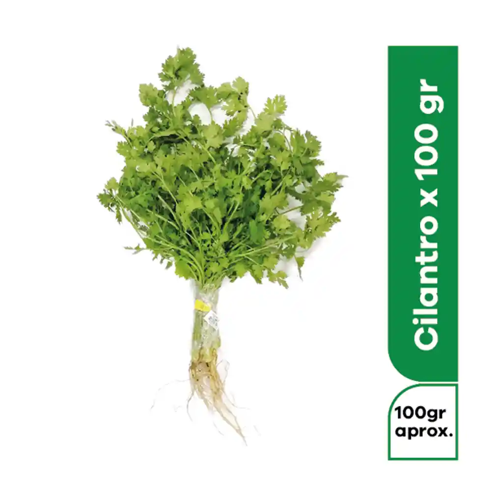 Cilantro Manojo e