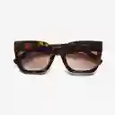 B+D Gafas Sol Bellevue Carey