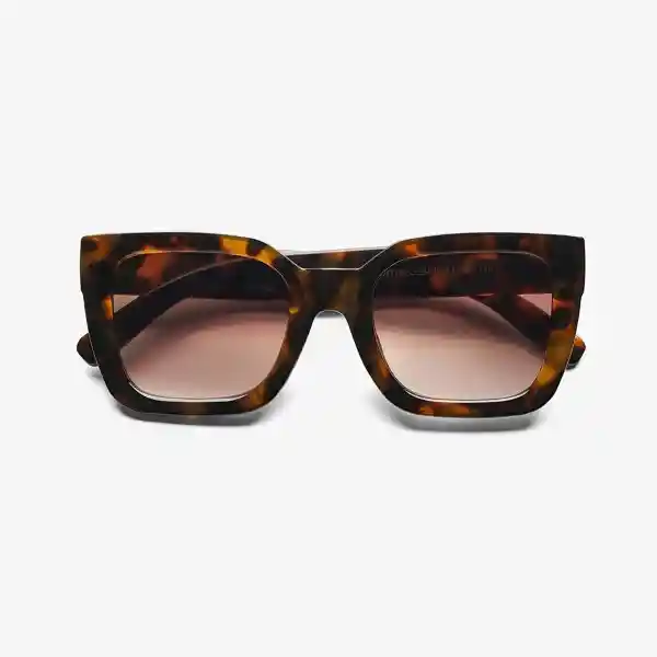 B+D Gafas Sol Bellevue Carey