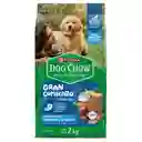 Alimento para perro Dog Chow Cachorros Gran Comienzo Medianos y Grandes x 2kg