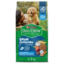 Alimento para perro Dog Chow Cachorros Gran Comienzo Medianos y Grandes x 2kg