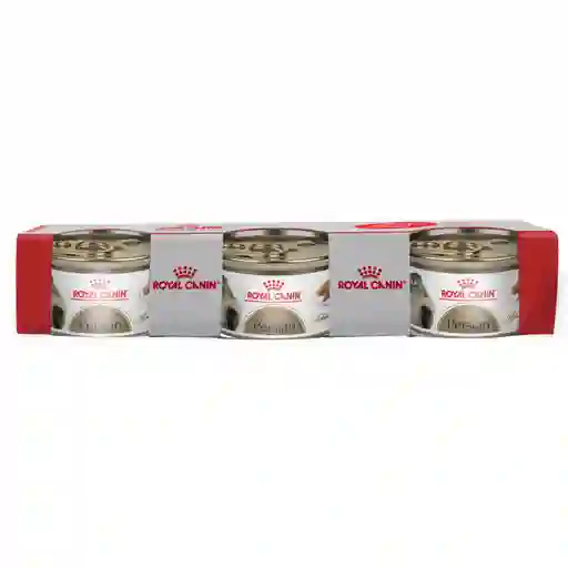 Royal Canin Feline Breed Nutrition Wet Persian x 3 Und 85g