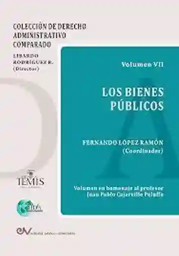Los Bienes Públicos - Rodriguez Libardo