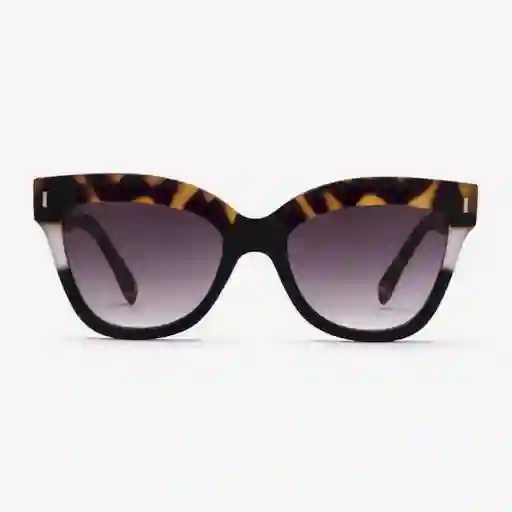 Inkanta Gafas Maui Tortoise /Lentes Grad