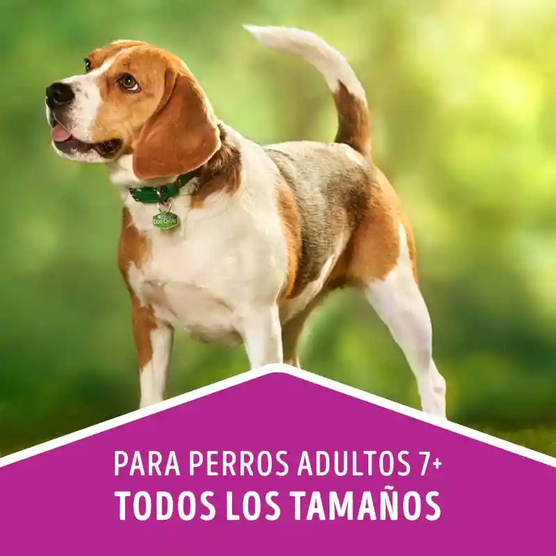 Comida para perro Dog Chow mayores a 7 años (Senior Longevidad) x 2 kg