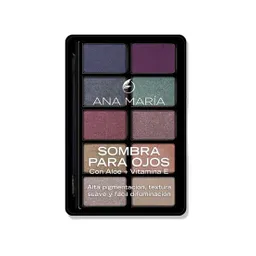 Ana Maria Paleta 10 Sombras Nevado