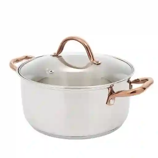 Olla en Acero Universal Acero Inoxidable Zafiro 1 Pieza Plateado