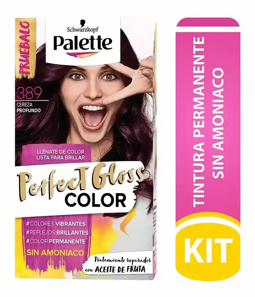 Palette Perfect Gloss Tinte Permanente Tono 389