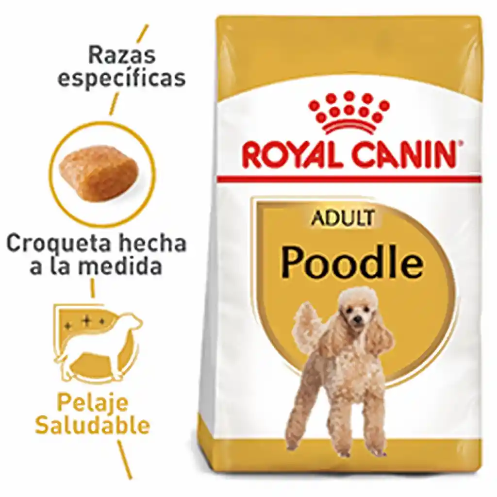 Royal Canin Alimento para Perro Poodle Adulto 