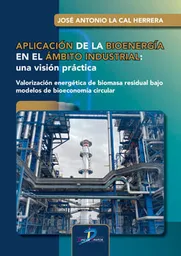 Aplicación de La Bioenergía en El Ámbito Industrial Una Visión Práctica