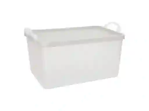 Caja Con Tapa Plástica 12 L Casaideas