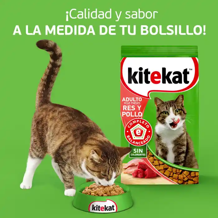 Kitekat Alimento para Gato Adulto Sabor Res y Pollo