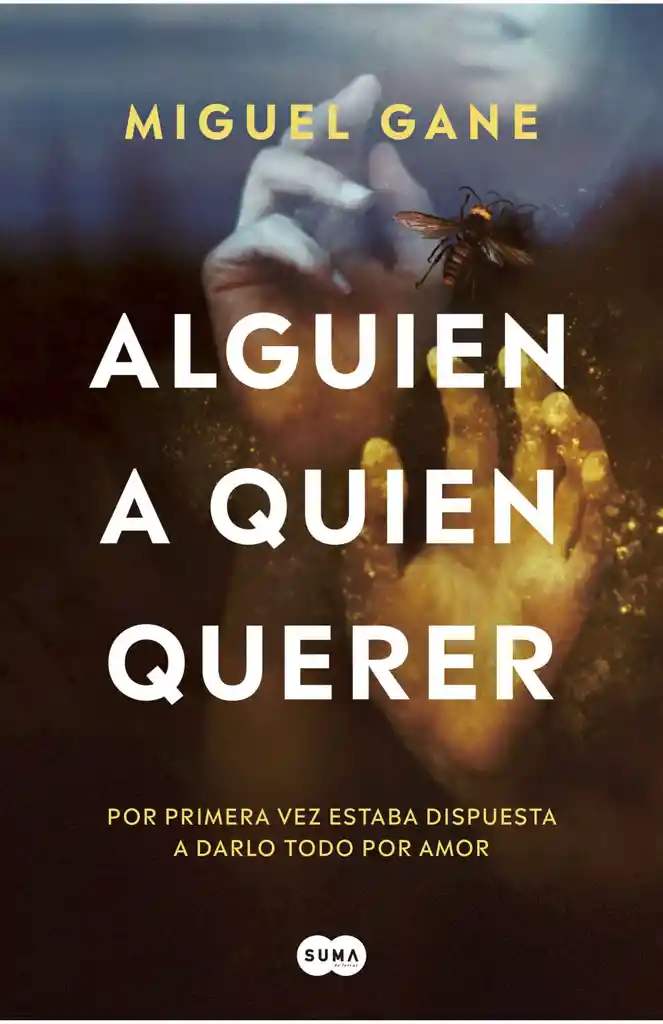 Alguien a Quien Querer