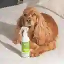 LuloPet Relaxing Effect Dog y Puppy para Perro - 250 ml