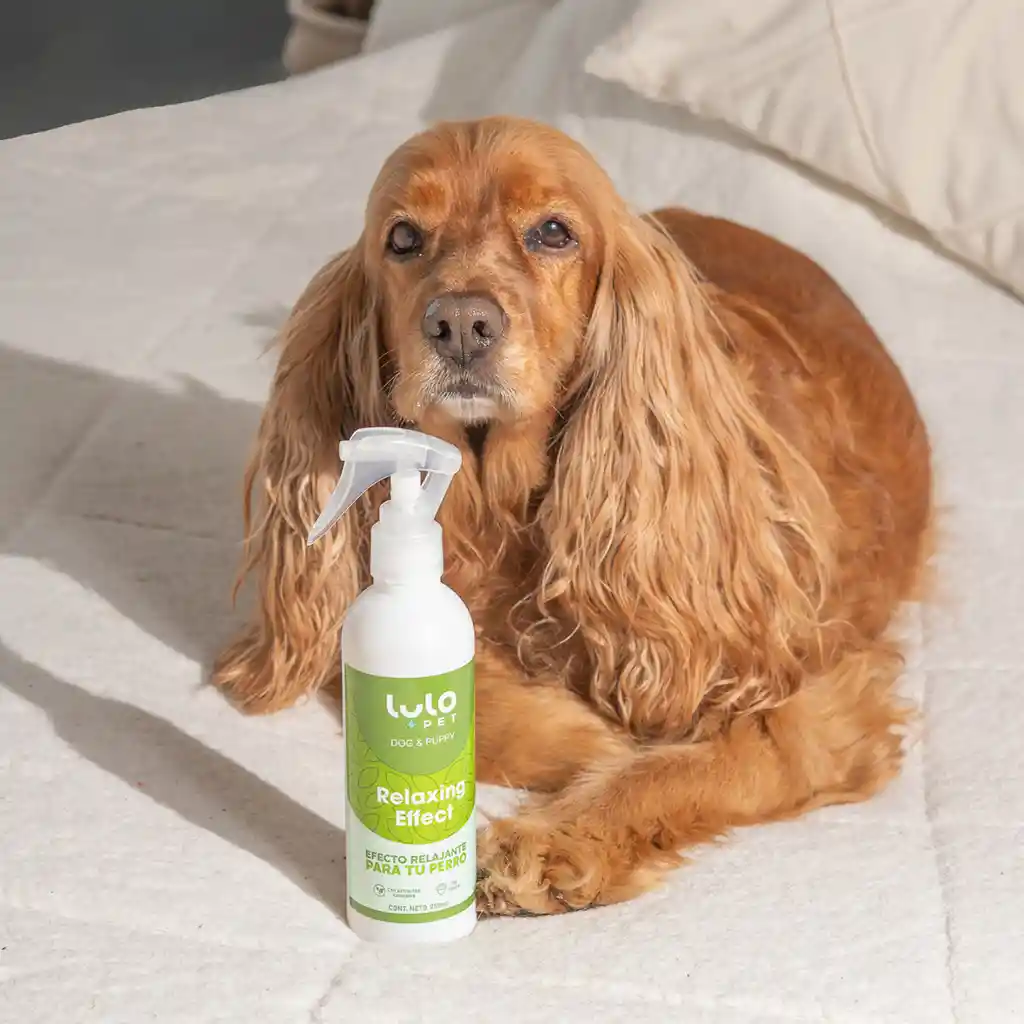 LuloPet Relaxing Effect Dog y Puppy para Perro - 250 ml