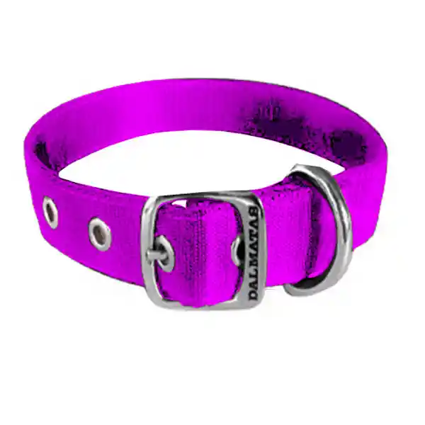 Dálmatas Collar Liso Reata Fucsia Talla XL