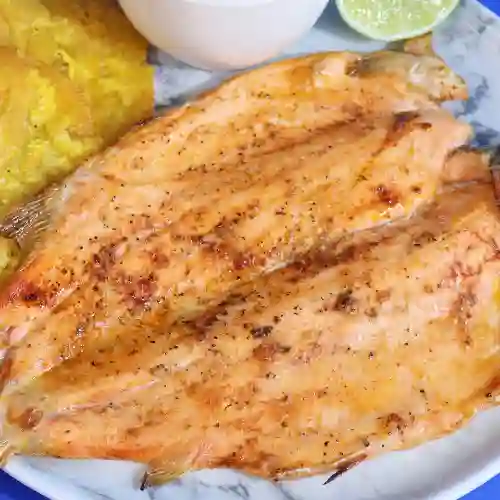Trucha a la Plancha