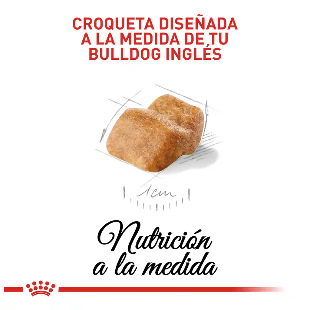 Royal Canin Alimento para Perro Bulldog Ingles Junior