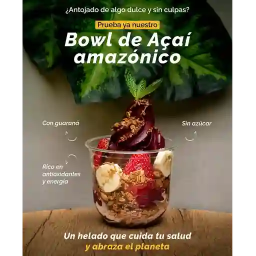 Bowl acai