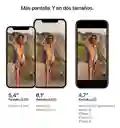  iPhone 12 Mini De 64 Gb Color Verde
 